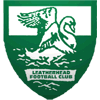 Wappen von Leatherhead FC