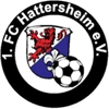 1. FC Hattersheim