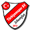 Türkiyemspor SV 12 Schweinfurt III