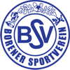 Borener SV